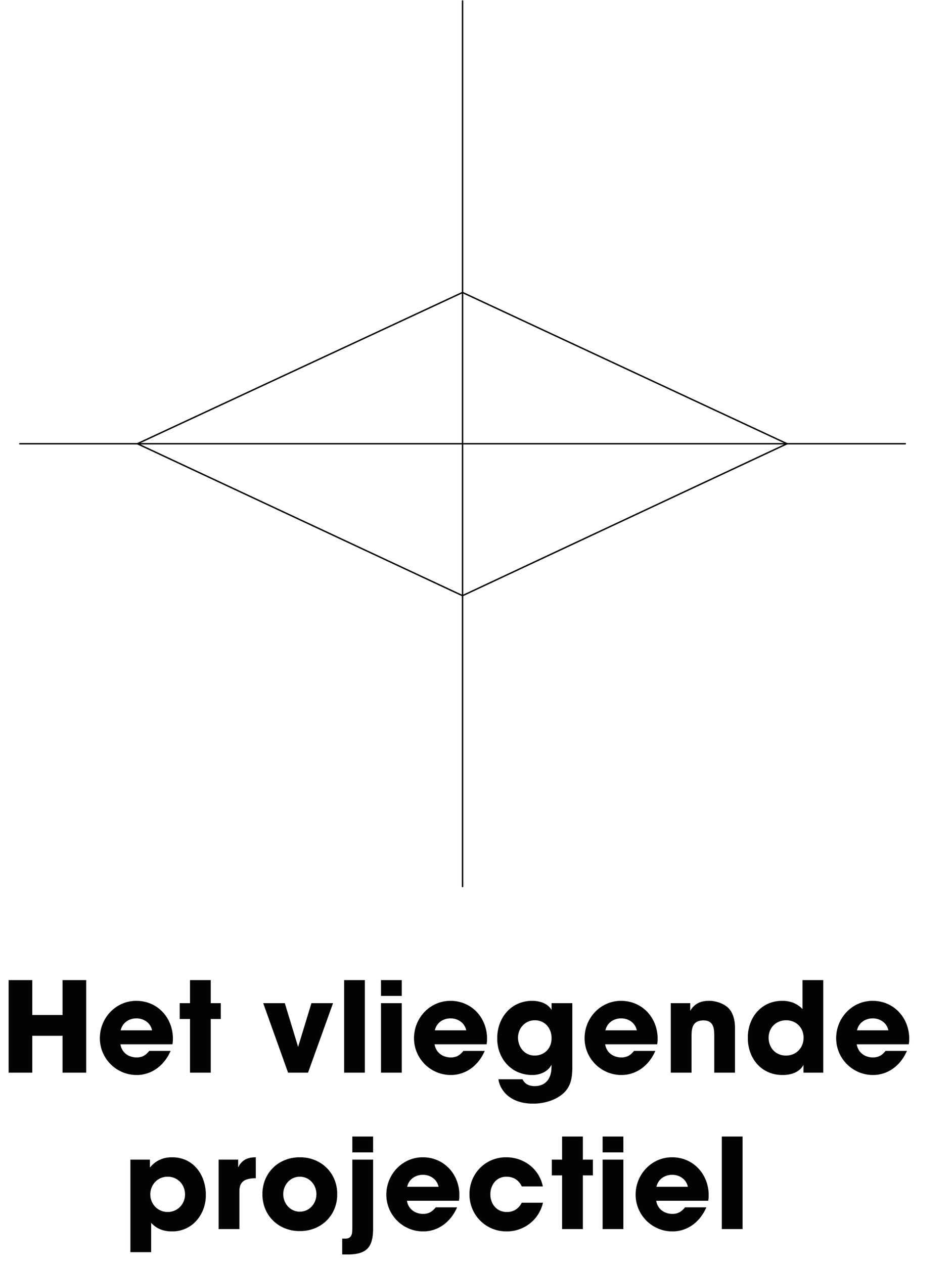 Het vliegende projectiel