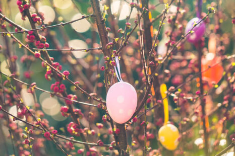 6 rituelen voor een vrolijk én fair paasfeest