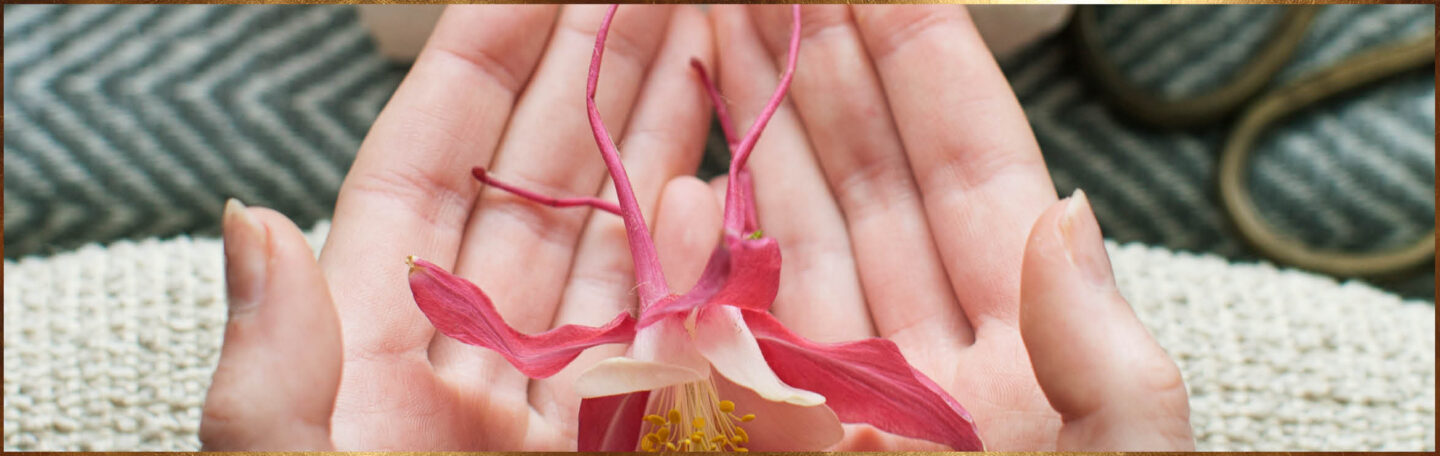 Haal het beste uit je slaap met Ayurveda