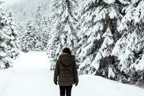 4 dingen die de winter ons kan leren