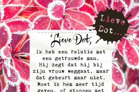 Lieve Dot: advies aan Een Afwachter