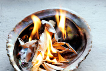Zuiverende aromaset