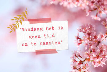 Surfen op de tijd