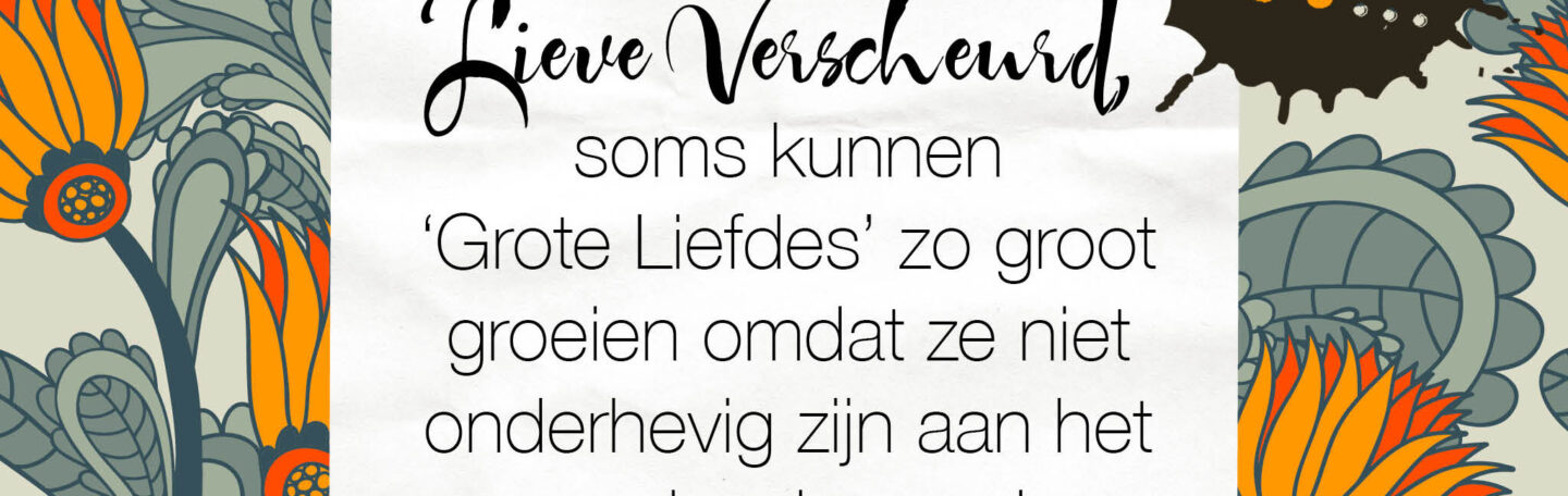 Lieve Dot: advies aan Verscheurd