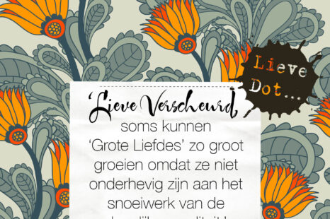 Lieve Dot: advies aan Verscheurd