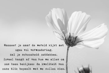 Zeven lessen over schoonheid van John O’Donohue