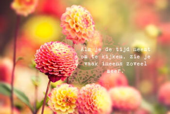 Groene vingers op Instagram