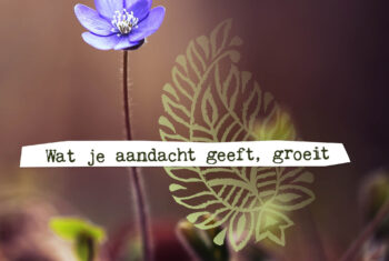Zo zie je het glas halfvol