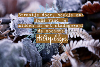 De mooiste stilteplekken in de stad