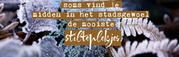 De mooiste stilteplekken in de stad