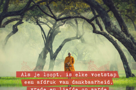 Leer van een monnik en loop met aandacht