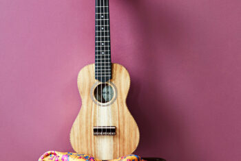Zo krijg je in no time de ukelele onder de knie