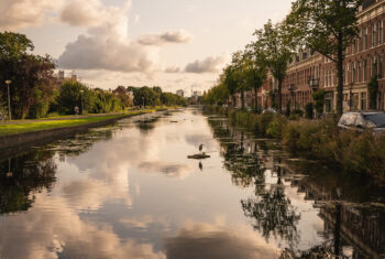 Zo gebruik je de natuur om je werkdag goed te beginnen