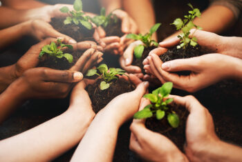 Wil je iets betekenen voor de wereld? 3 tips van Jane Goodall