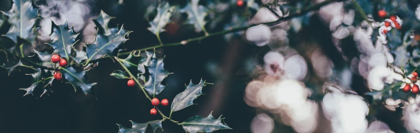 De enige vegan kerstmarkt van Nederland (en nog vier decemberfavorieten)