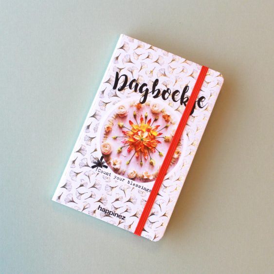 Ginkgo dagboekje