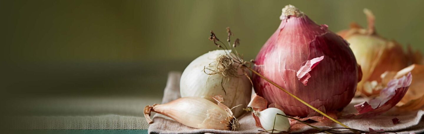 Recept: romige uiensoep met geroosterde uienbloem en peterselieolie