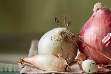 Recept: romige uiensoep met geroosterde uienbloem en peterselieolie