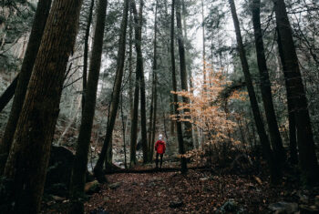 De pracht van het boswachtersvak: vier inspirerende Instagram accounts om nu te volgen