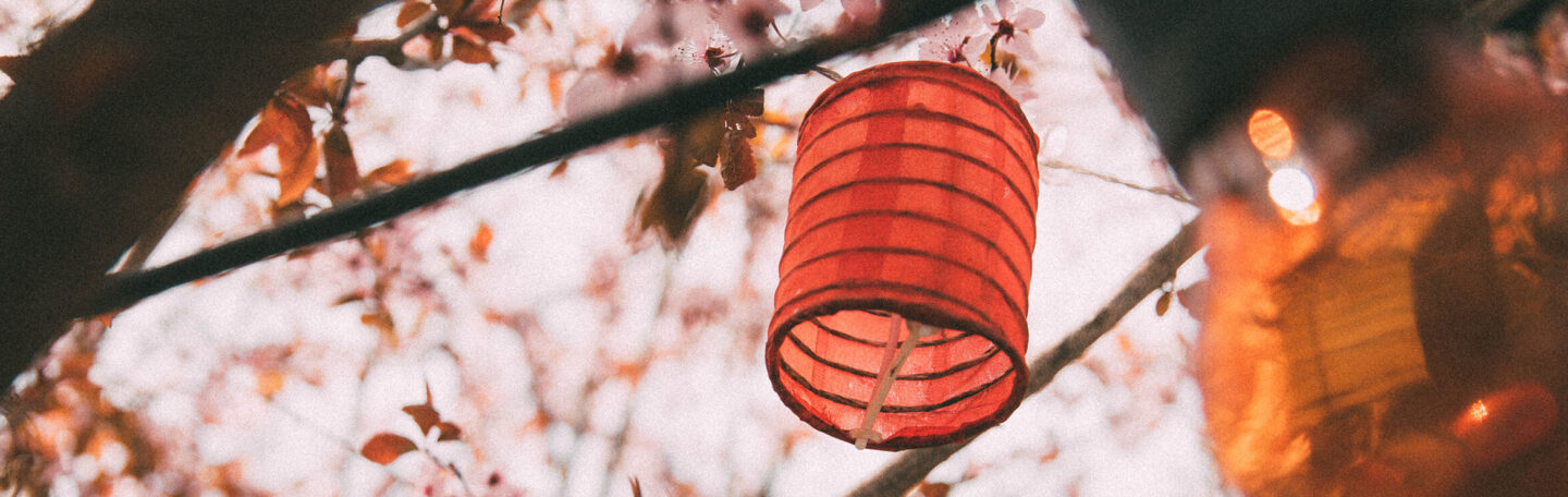 Tijd om de lente te vieren: dit zijn de leukste events in mei