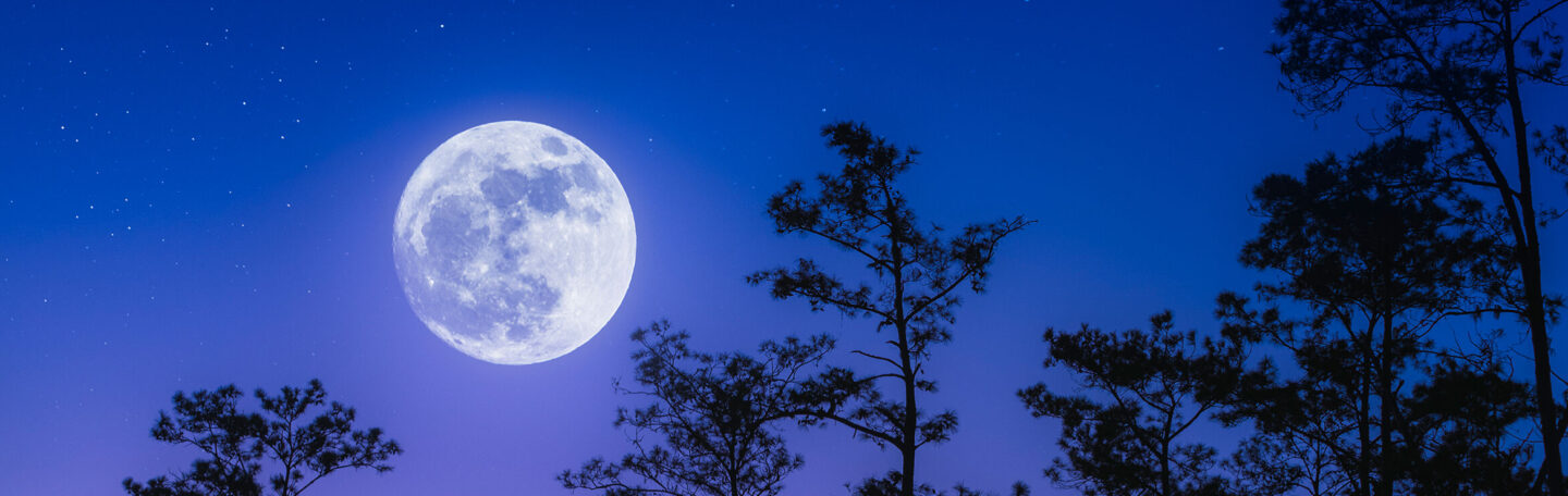 Volle maan in Vissen: zo vind je je kalmte terug (en slaap je wél goed)