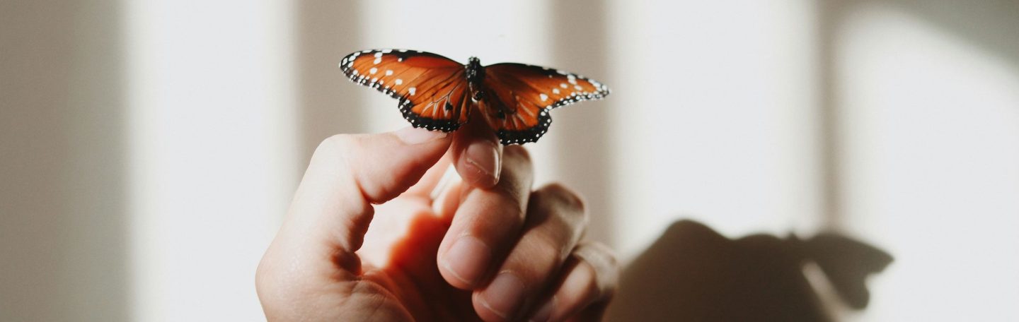 Vijf inzichten die je helpen om voluit in het leven te staan
