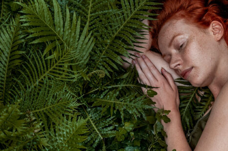 Haal de natuur naar binnen en kom tot rust met deze planten