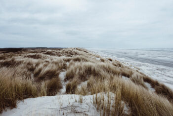 Behoefte aan rust en kalmte? Een dagje strand doet wonderen