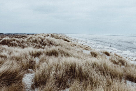 Behoefte aan rust en kalmte? Een dagje strand doet wonderen