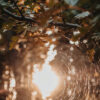 Voel je een herfstdip aankomen? Drie tips voor op de donkere dagen