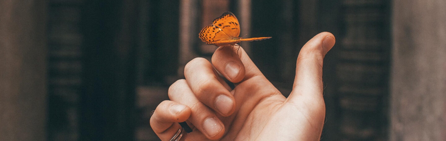 Herken jij jezelf in deze 5 kenmerken? Dan is het jouw roeping om anderen te helpen