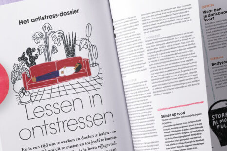 Het antistress-dossier: lessen in ontstressen