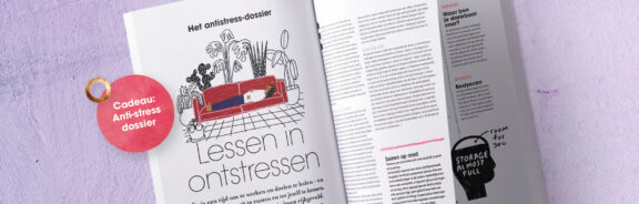 Het antistress-dossier: lessen in ontstressen