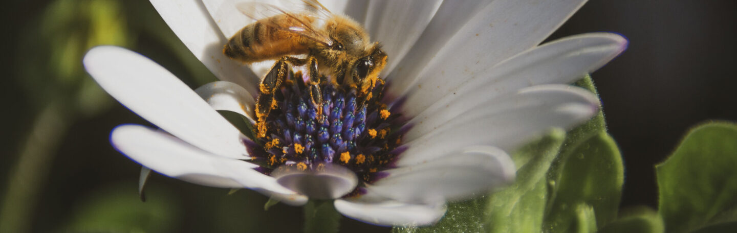 5 x genieten van de natuur