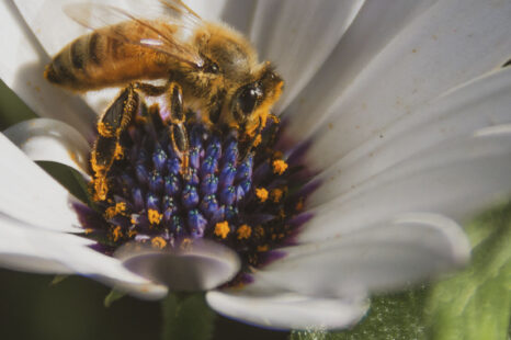 5 x genieten van de natuur