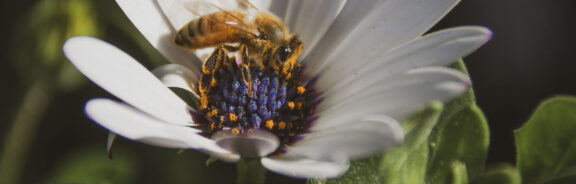 5 x genieten van de natuur