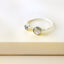 Ring Circle