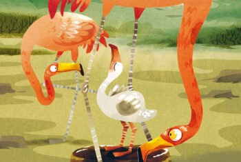 Voorleesverhaal over de kleine flamingo Mingo