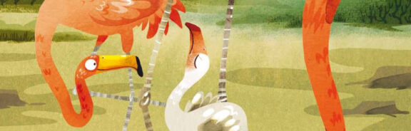 Voorleesverhaal over de kleine flamingo Mingo