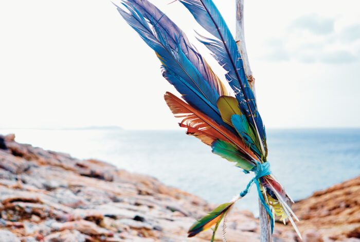 Ontdek de DNA-code van je ziel - Happinez