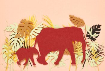 Ontdek de symbolische betekenis van krachtdieren