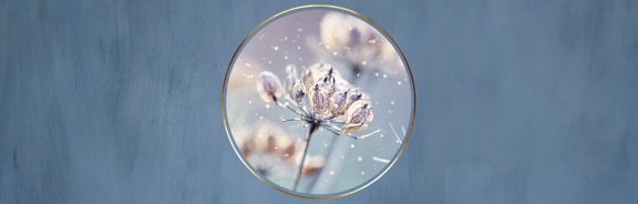 Winterzonnewende: tips voor tijdens de donkerste dagen