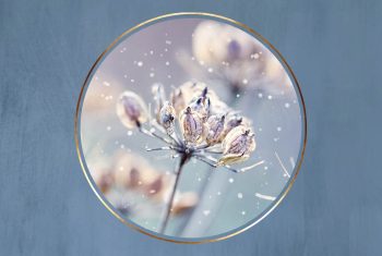 Winterzonnewende: tips voor tijdens de donkerste dagen