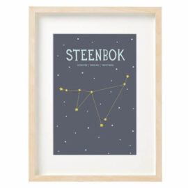 Sterrenbeeld poster Steenbok