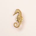 broche zeepaardje
