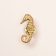 Broche zeepaardje verguld