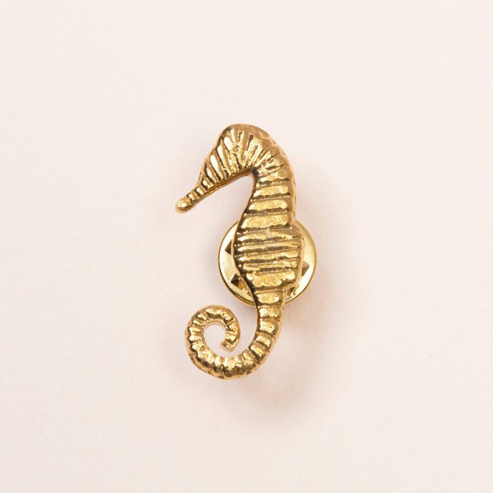 broche zeepaardje
