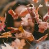 Zo ga je stralend de herfst in (en voorkom je een najaarsdip)