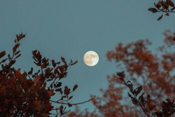 Volle maan: deze tips helpen je beter te slapen