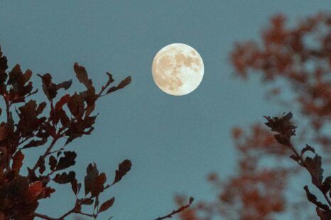 Volle maan: deze tips helpen je beter te slapen